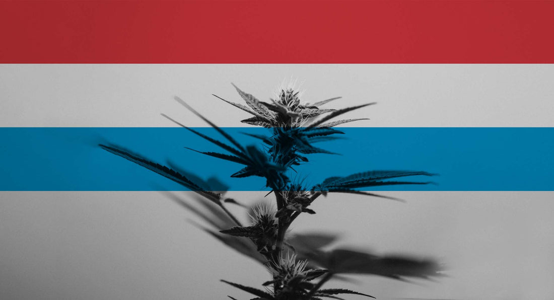 Let's fucking grow, Lëtzebuerg! 🇱🇺💚