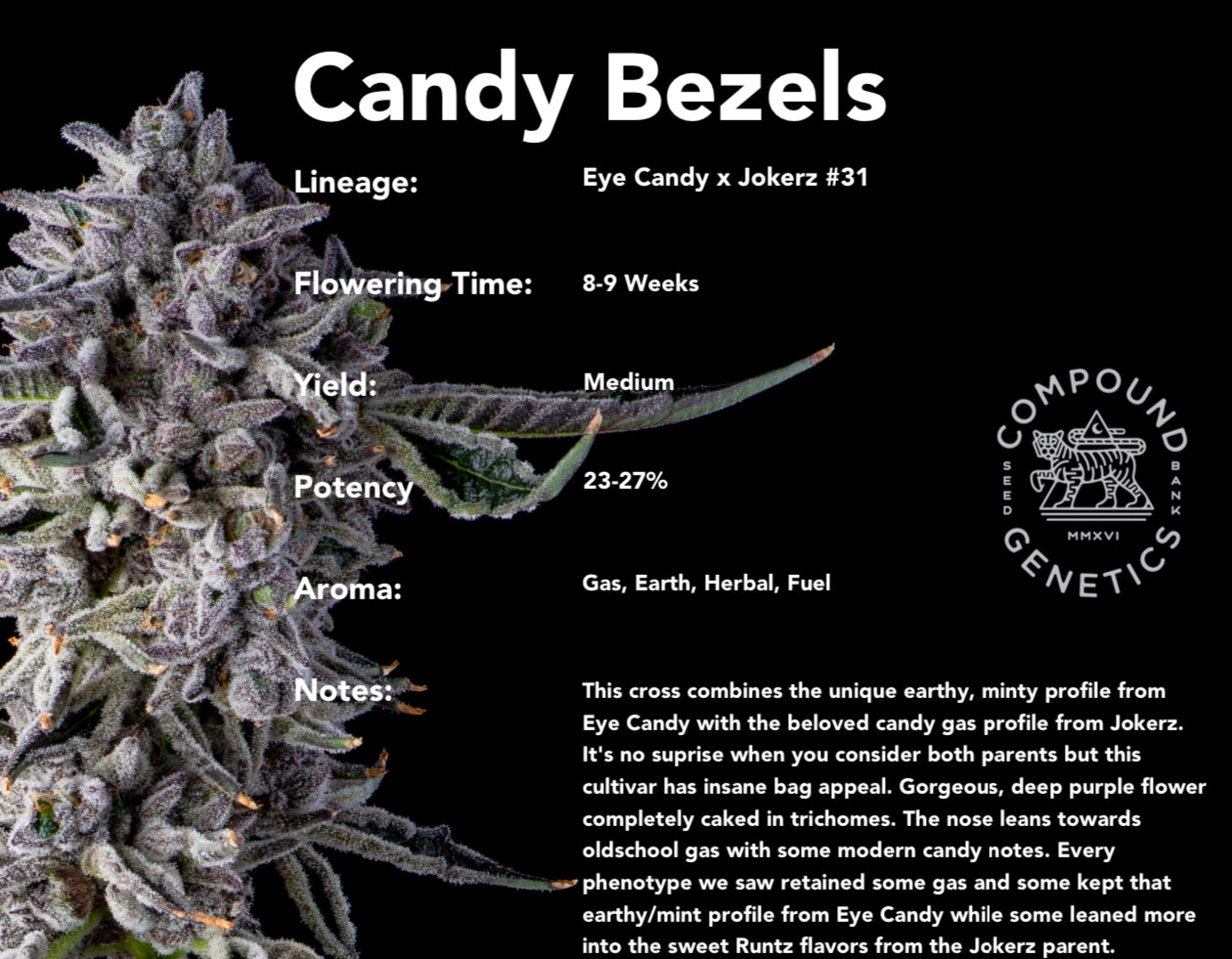 Candy Bezels (Eye Candy x Jokerz #31) 7-pack