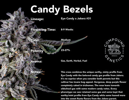 Candy Bezels (Eye Candy x Jokerz #31) 7-pack