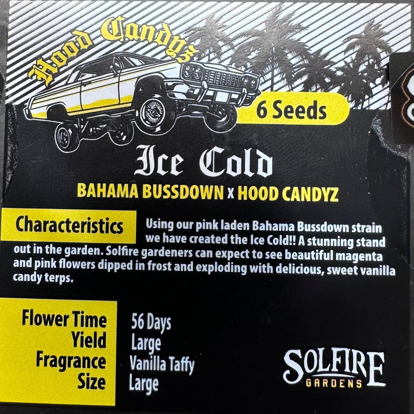 Ice Cold 6-Pack (Bahama Bussdown x Hood Candyz)