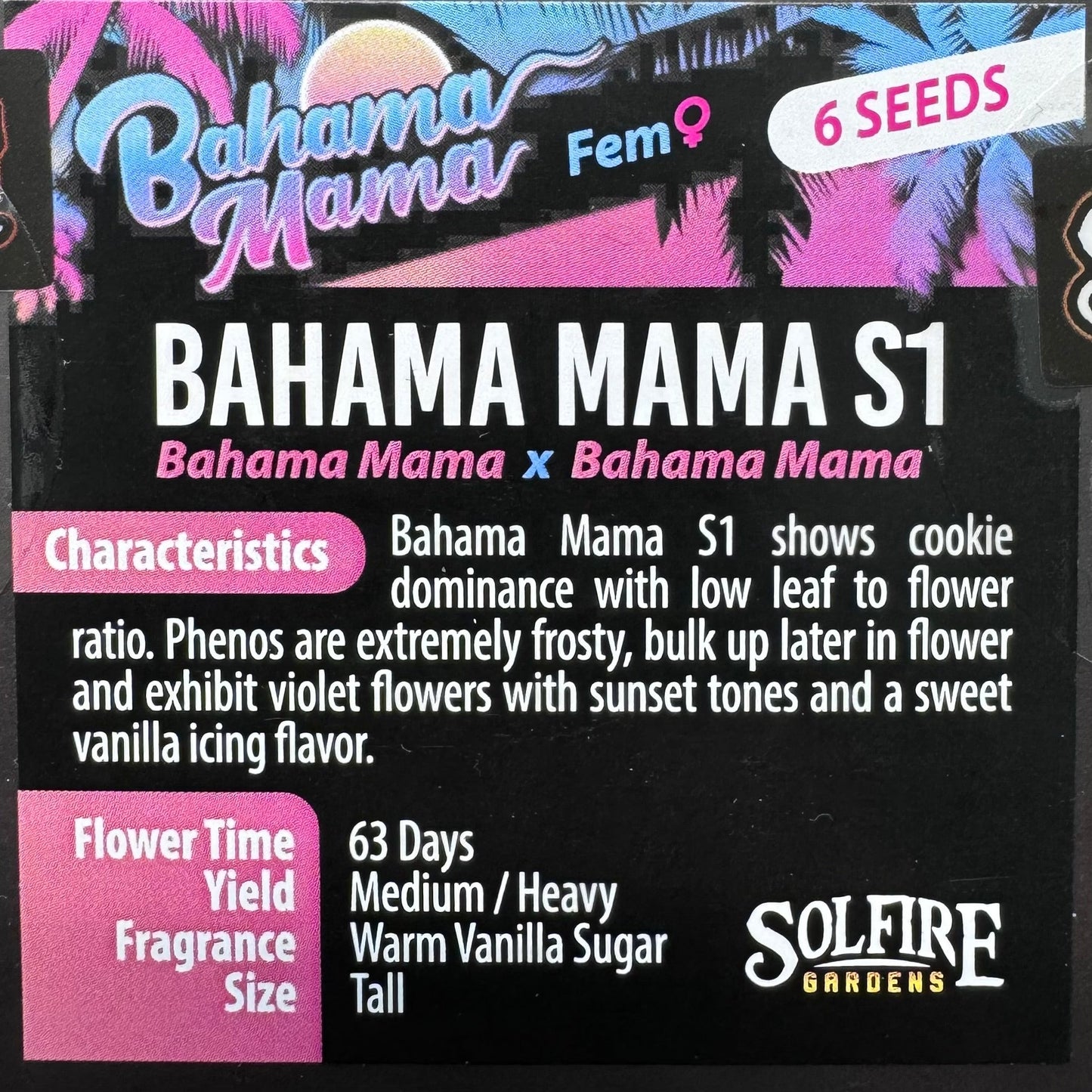 Bahama Mama S1 6-Pack (Bahama Mama x Bahama Mama)