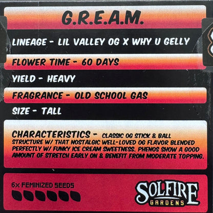 G.R.E.A.M. 6-Pack (Lil Valley OG x Why U Gelly?)