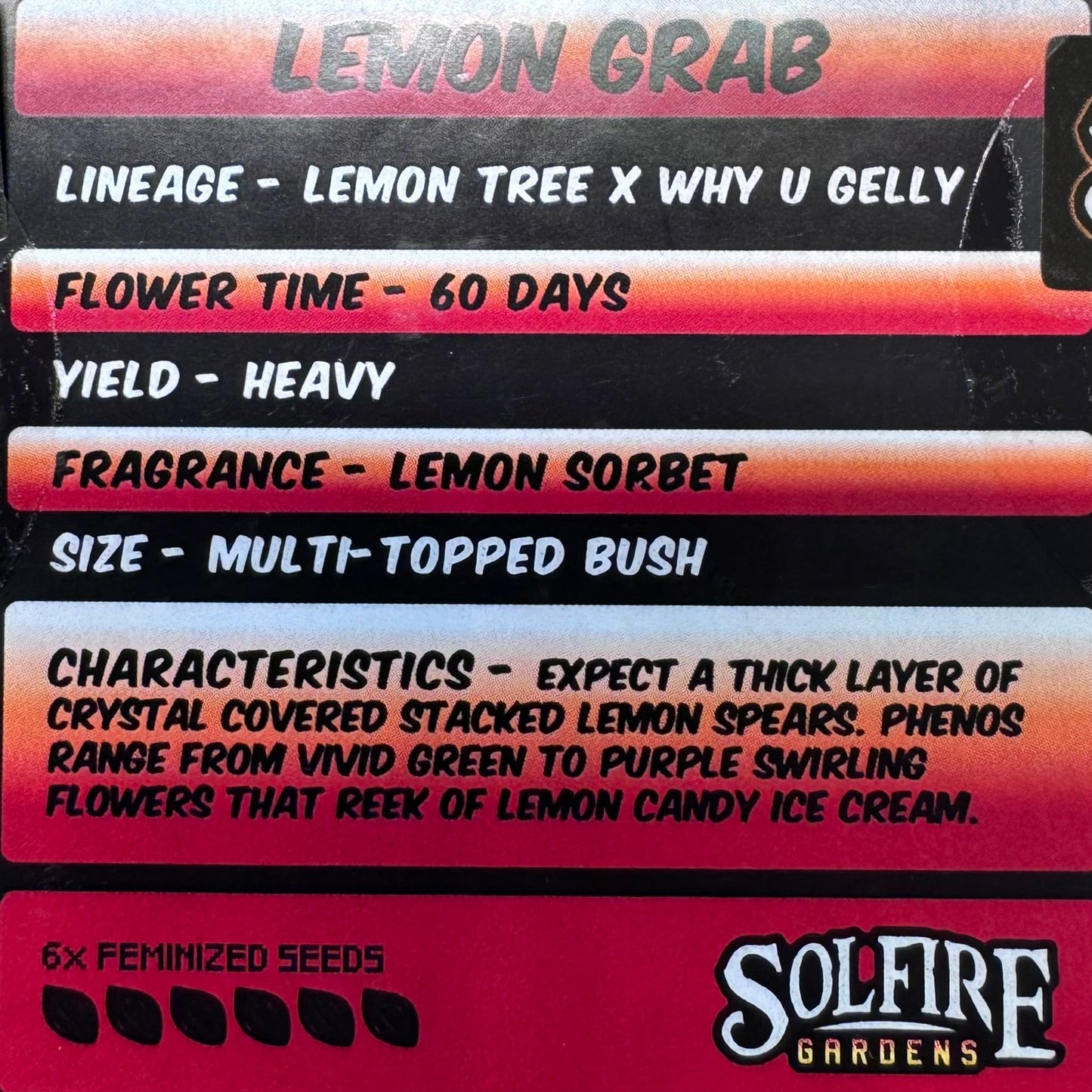 Lemon Grab 6-Pack (Lemon Tree x Why U Gelly?)