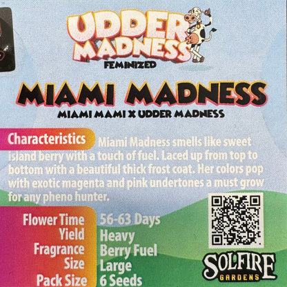 Miami Madness 6-Pack (Miami Mami x Udder Madness)