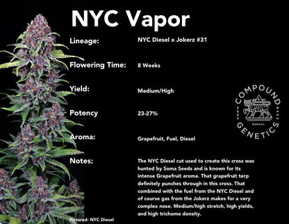 NYC Vapor (NYC Diesel x Jokerz #31) 7-pack