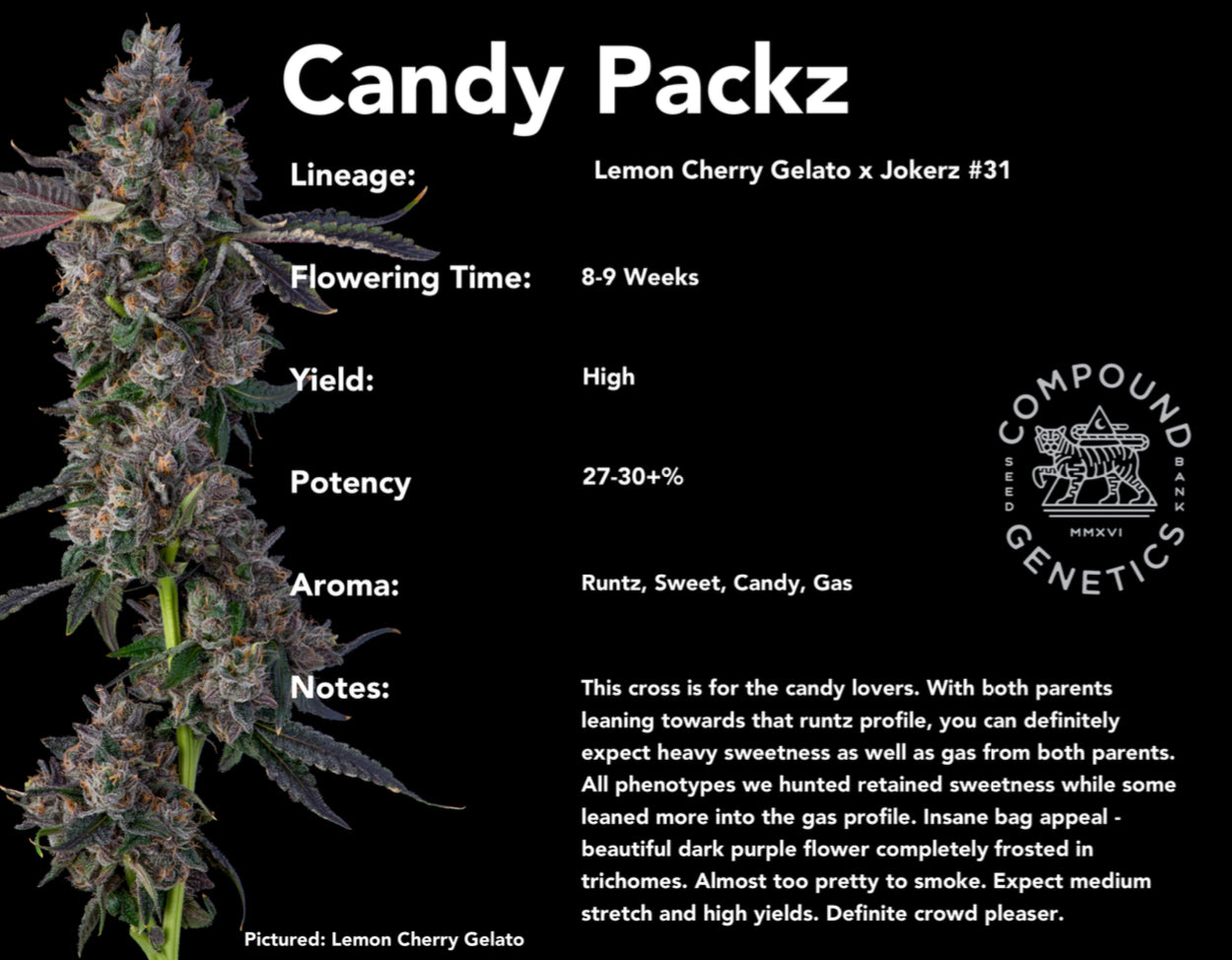 Candy Packz (LemonCherryGelato x Jokerz#31) 7-pack