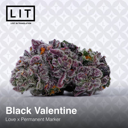 Black Valentine (Love x Permanent Marker) 6-Pack