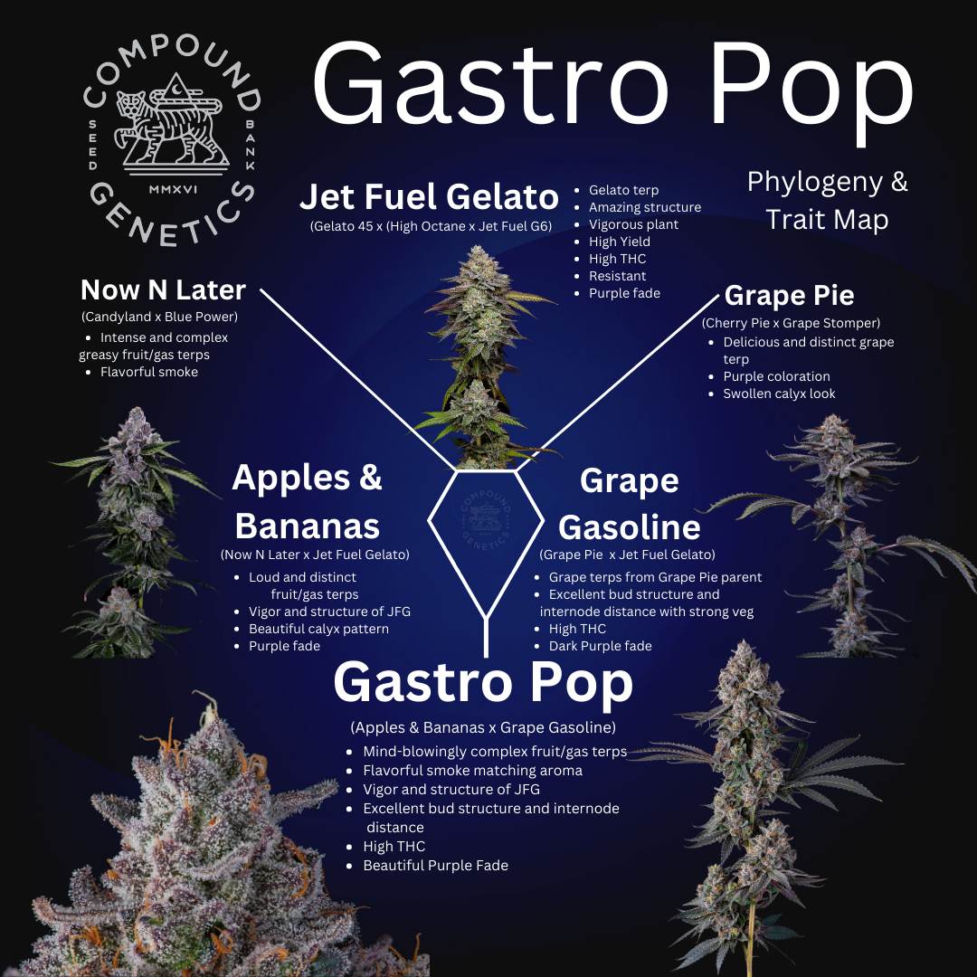 Gastro Pop Compound Genetics