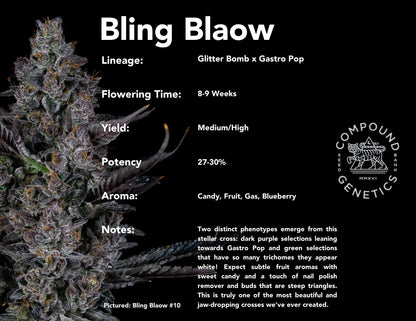 Bling Blaow 7+1