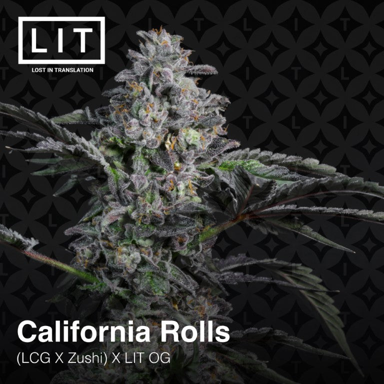 California Rolls [(Zushi x LCG) x LIT OG] 6-Pack