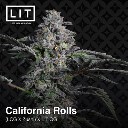 California Rolls [(Zushi x LCG) x LIT OG] 6-Pack