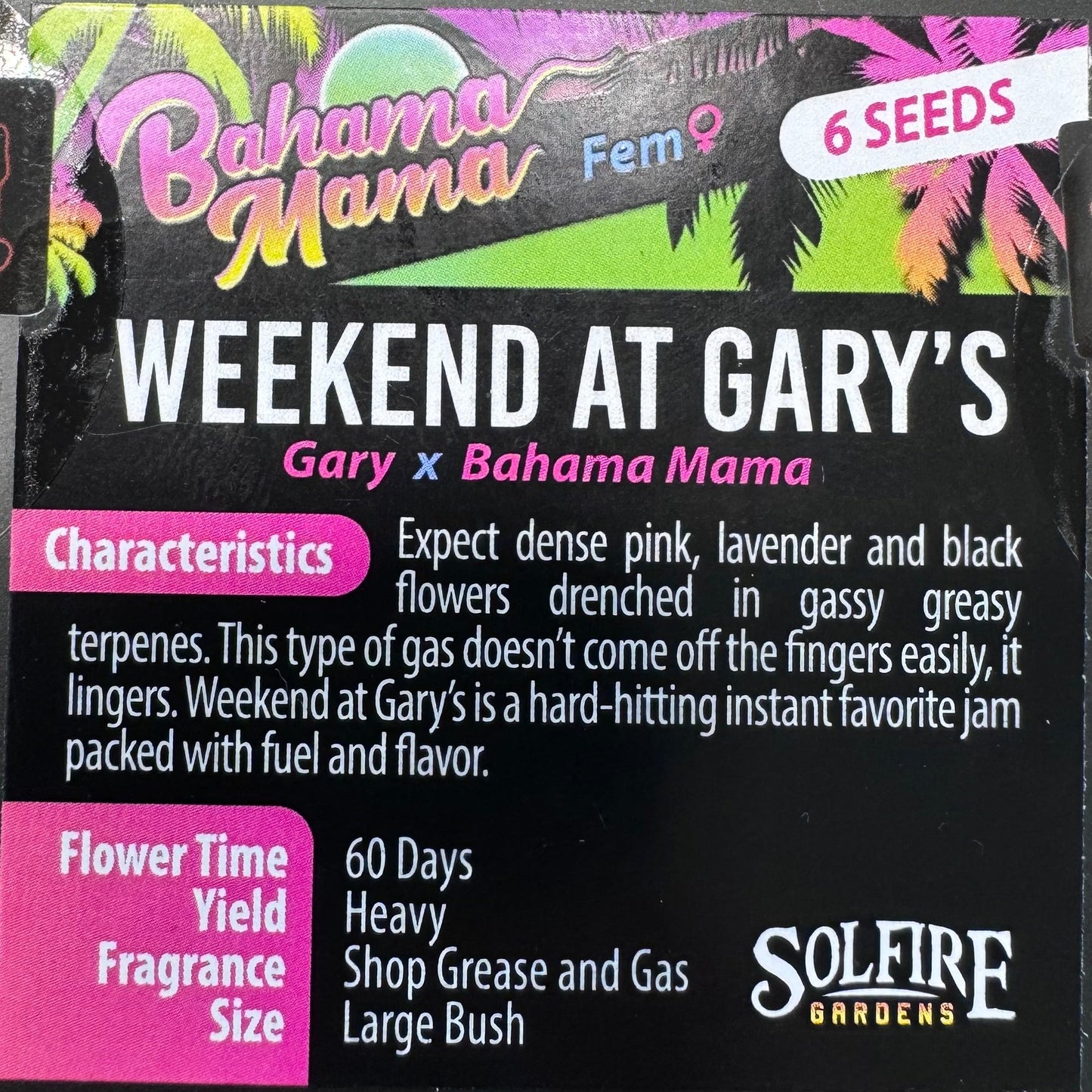 Weekend At Gary’s 6-Pack (Gary Payton x Bahama Mama)