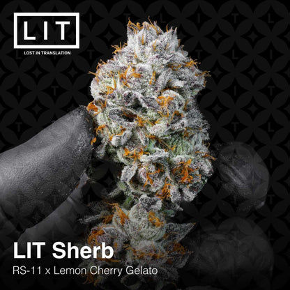 Lit Sherb (RS11 x Lemon Cherry Gelato) 6-Pack