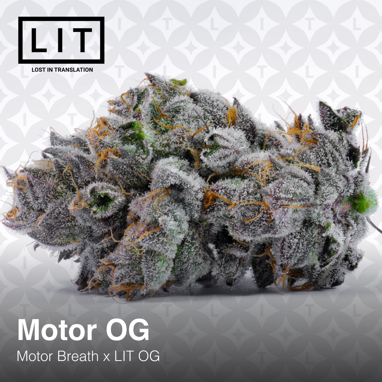 Motor OG (Motor Breath x LIT OG) 6-Pack