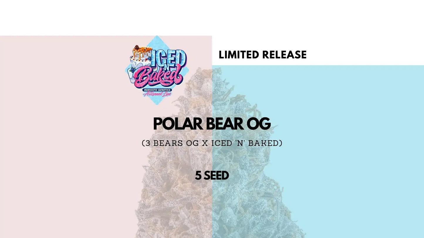 POLAR BEAR OG (3 BEARS OG X ICED ‘N’ BAKED) 5-Pack