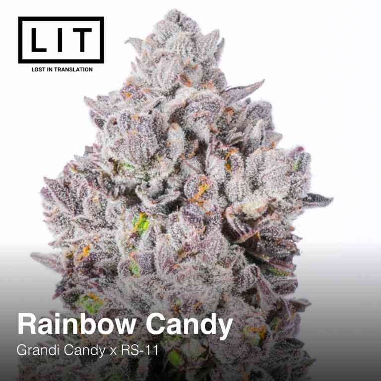 Rainbow Candy (Grandi Candy x RS11) 6-Pack