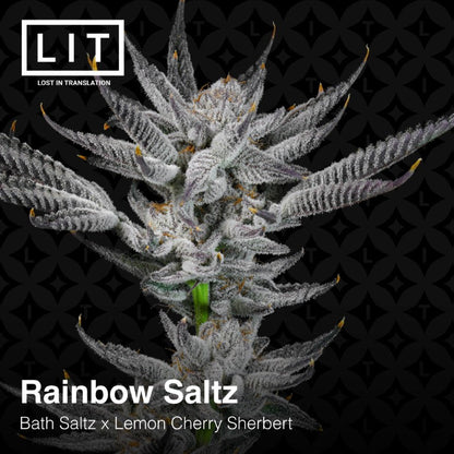 Rainbow Saltz (Bath Saltz x Lemon Cherry Sherbert) 6-Pack