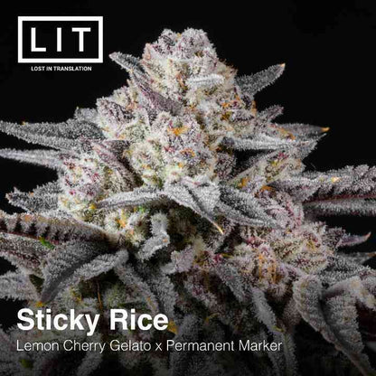 Sticky Rice (Lemon Cherry Gelato x Permanent Marker) 6-Pack