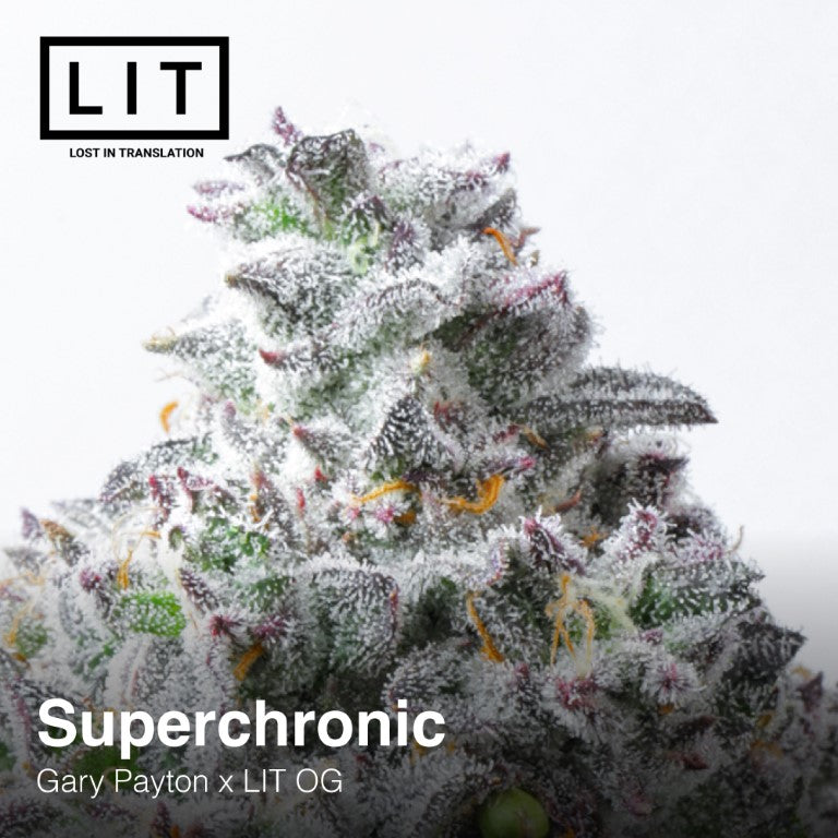 Superchronic (Gary Payton x LIT OG) 6-Pack