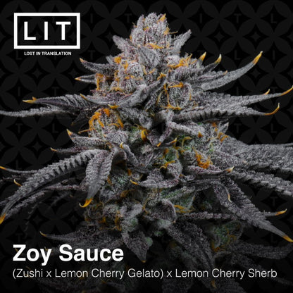 Zoy Sauce [(Zushi x Lemon Cherry Gelato) x Lemon Cherry Sherbert] 6-Pack