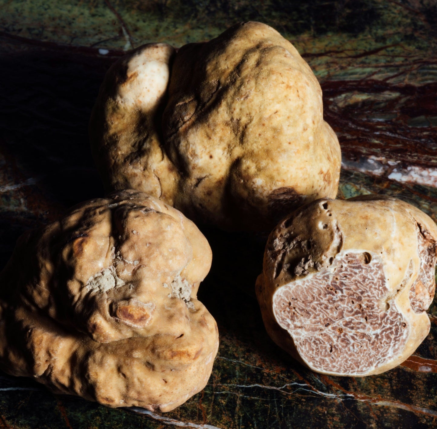 White Truffle x Chimera (FEM) 6-Pack