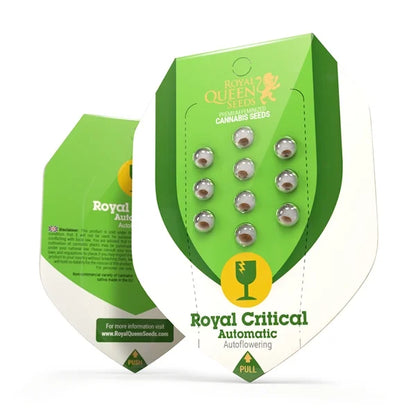 Royal Critical Auto